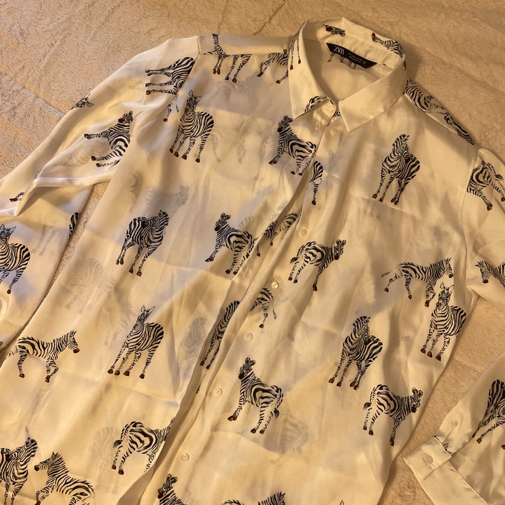 Zara Silk Button Down